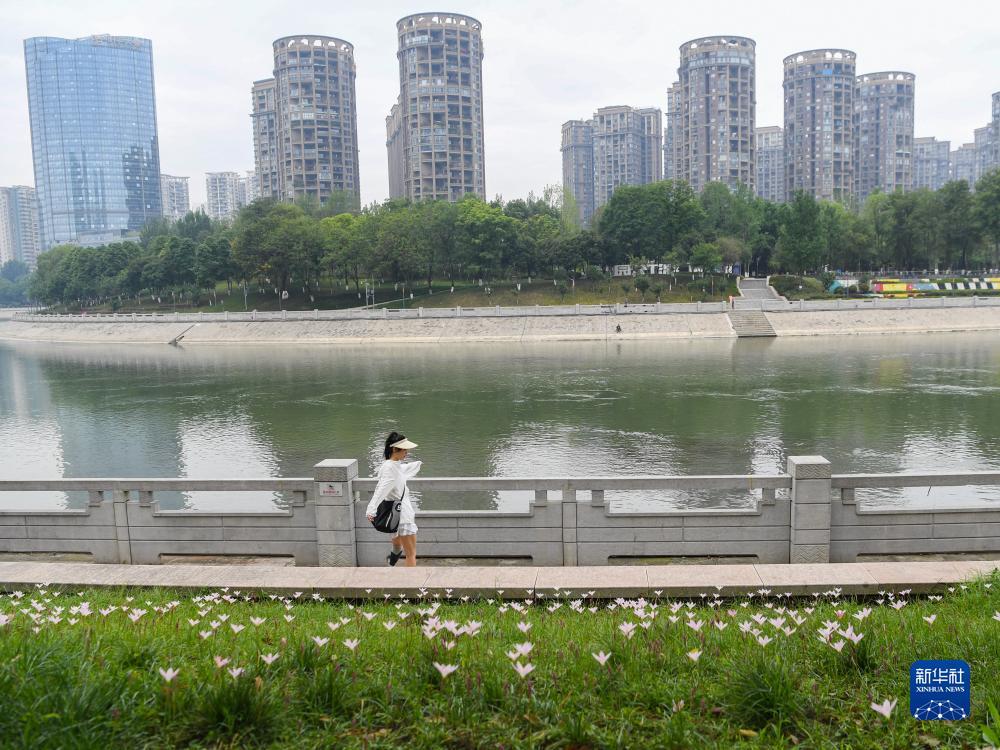 百家乐对子预测